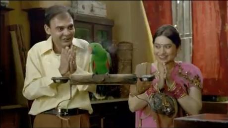 Birla Cement gets a talking parrot in its new TVC