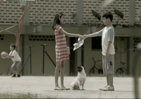 Vodafone brings back the pug to peg instant connections 