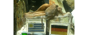 Weekend fun: Watch the man of the tournament at the FIFA World Cup