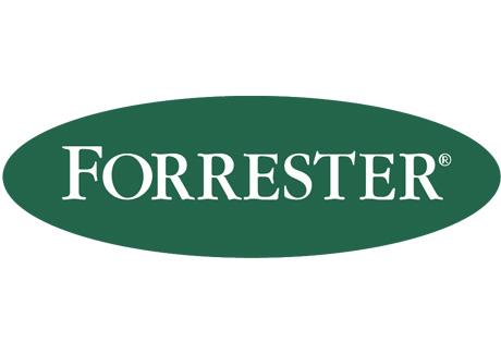 Emerging markets "in love" with social media: Forrester Research