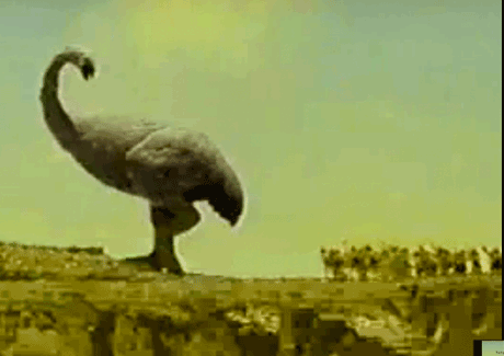 My favourite Cannes Grand Prix: Sonal Dabral