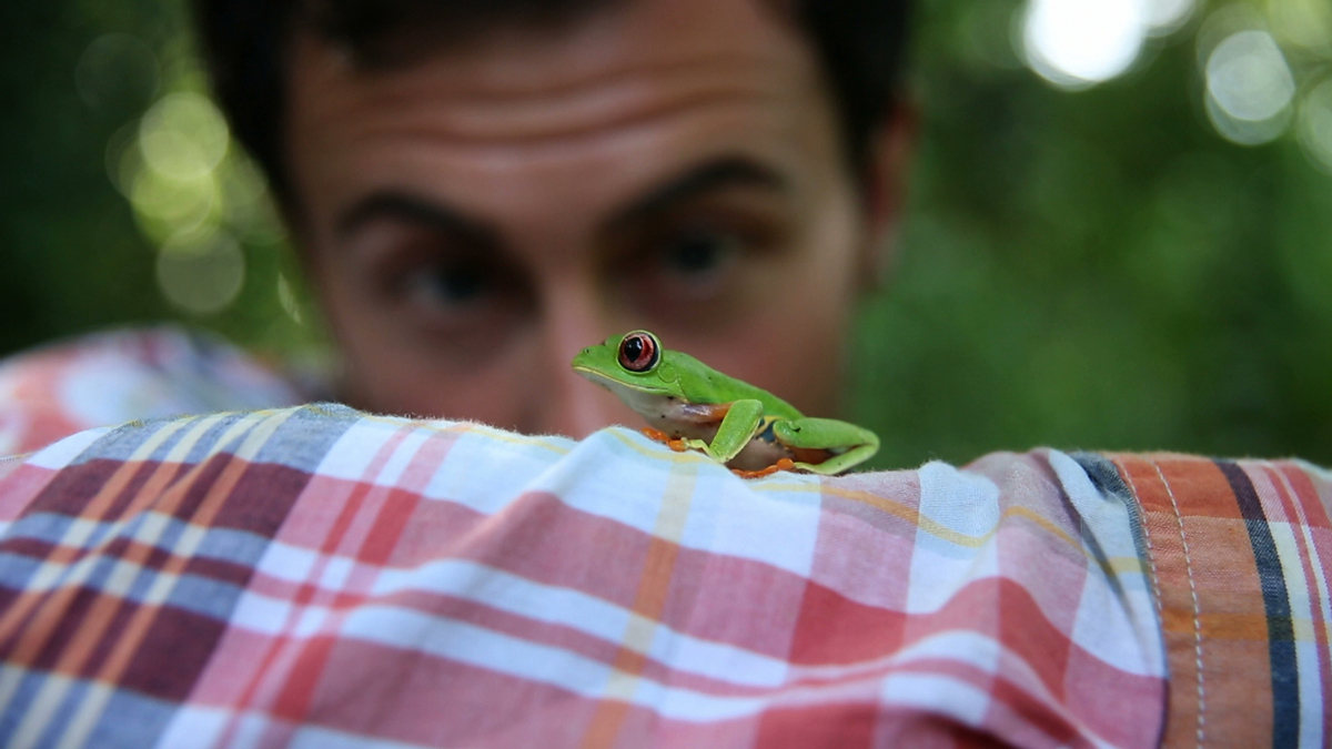 Cannes 2013: Saatchi & Saatchi New Directors' Showcase