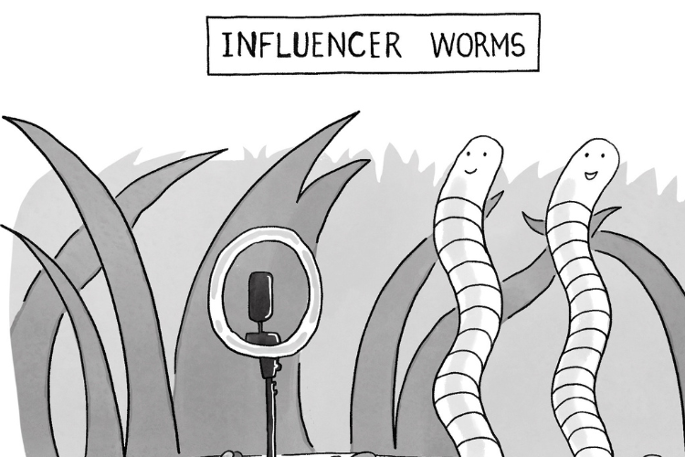 Toon in with Dhananjay