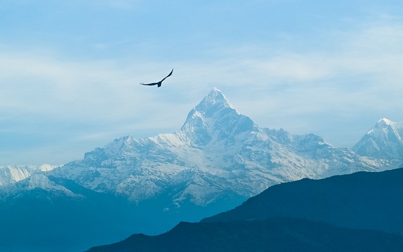 A view from Nepal: Two years of clean feed in Nepal - an opening for Nepalisation