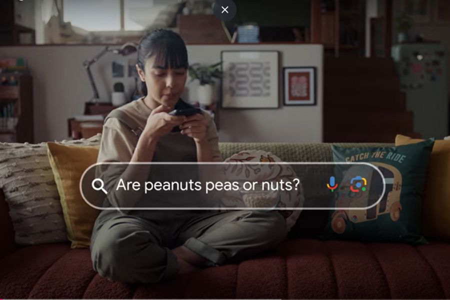 Googlies on Google: A curiosity-driven game for search 