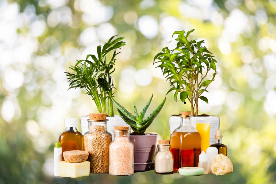 From labels to loyalty: Trust takes centre stage in India’s wellness market