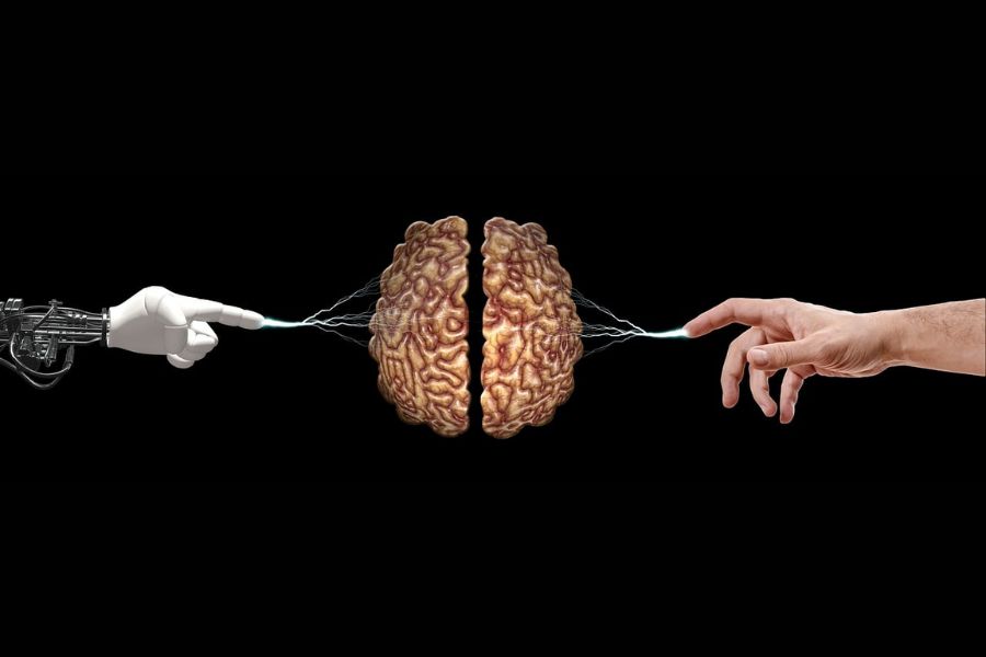 The rise of AI leaders: Shaping the future of advertising