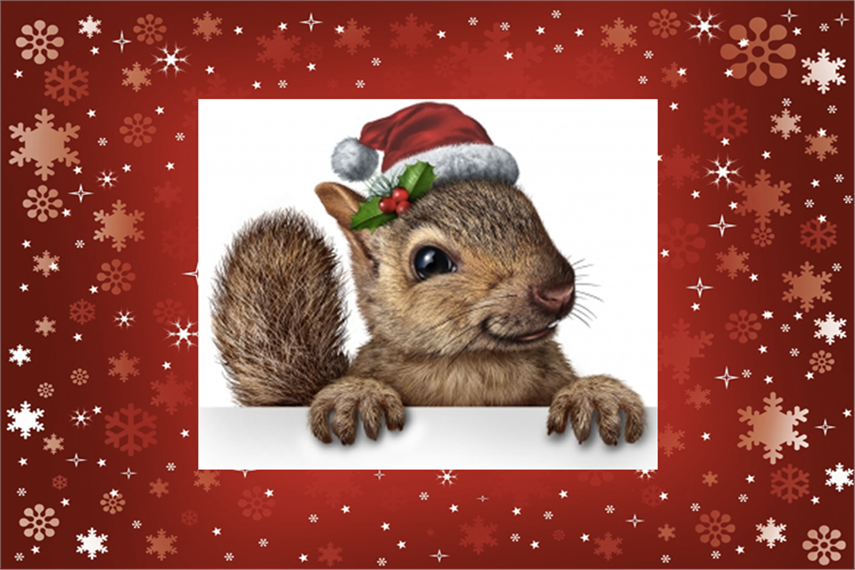 Weekend Watch: 71 Christmas ads