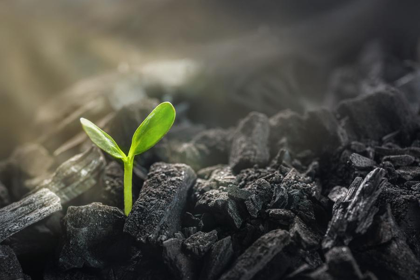 Dentsu forecasts revival in adspend in 2021, digital to account for 50% for first time