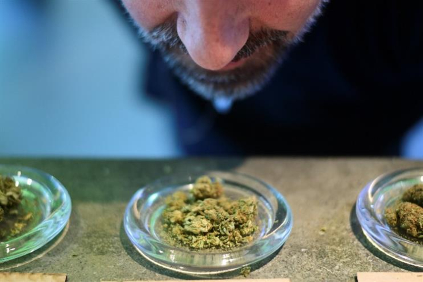 Havas is first holding company to launch major cannabis consultancy