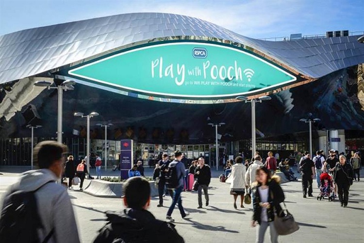 RSPCA 'Play with pooch'