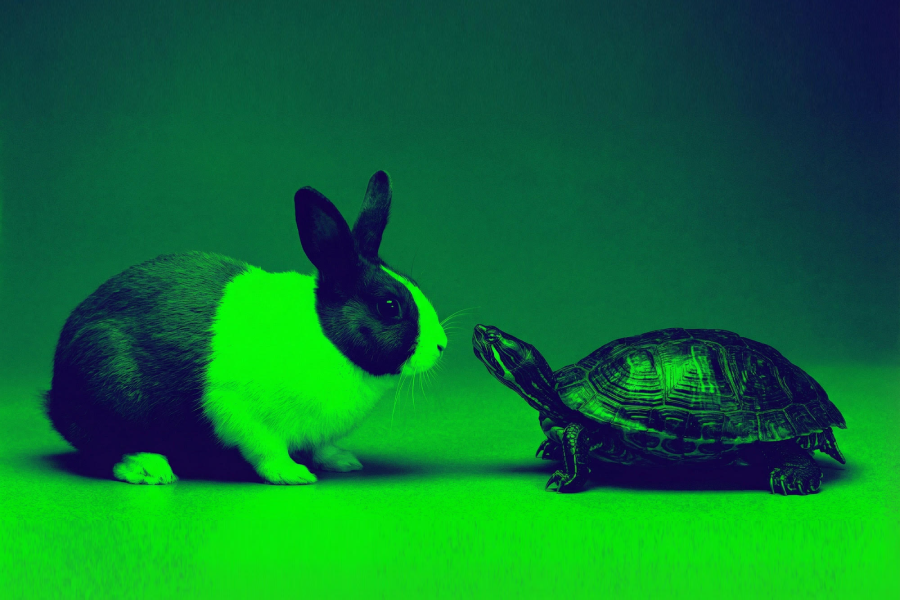 The tortoise and the hare